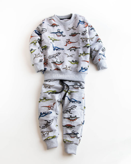 Grey Dinosaur print fleece tracksuit