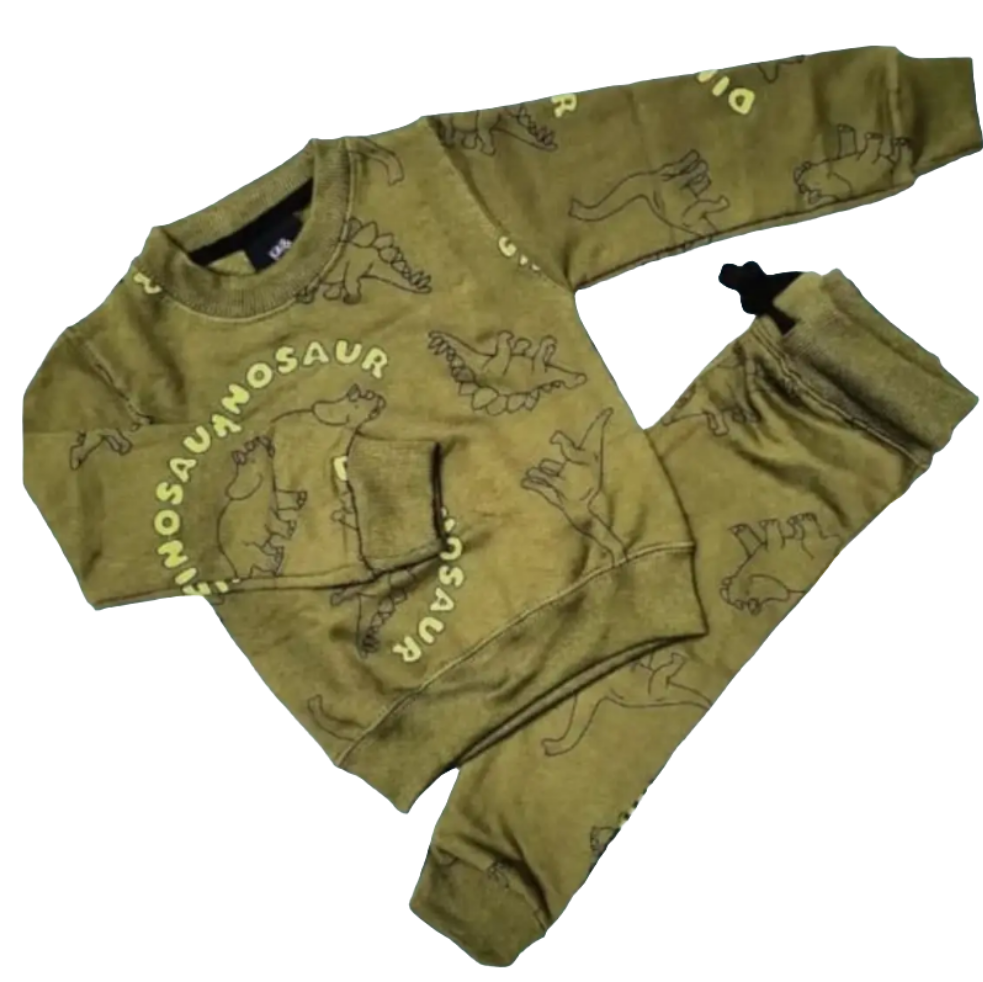 Green Dinosaur print tracksuit Unisex