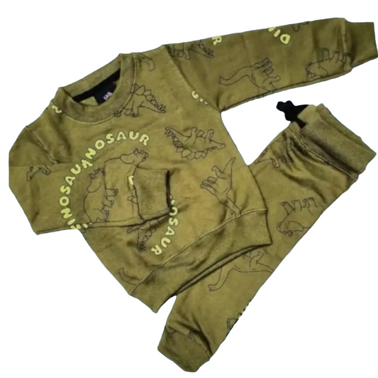 Green Dinosaur print tracksuit Unisex