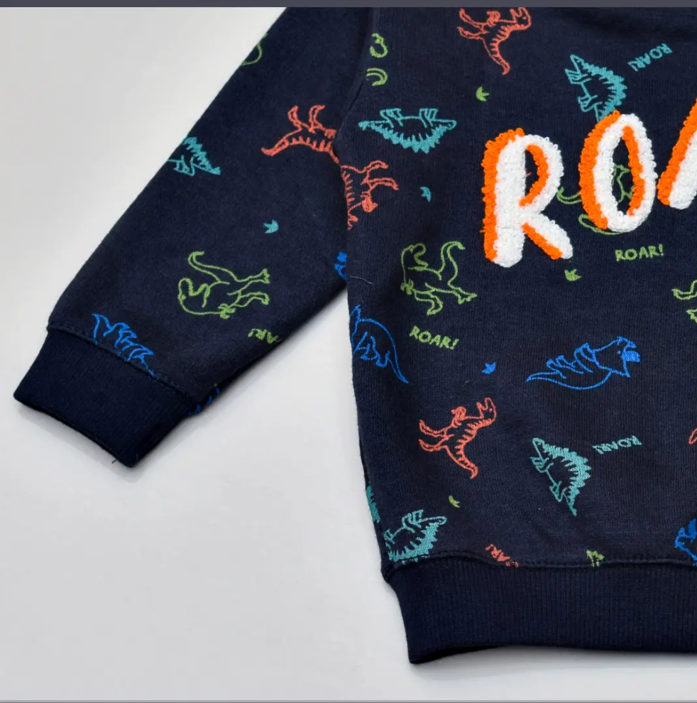 Dinosaur Roar embroided fleece sweatshirt