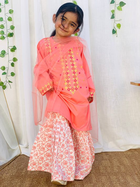 A Qaswa Embroided Orange cotton gharara 3pc dress