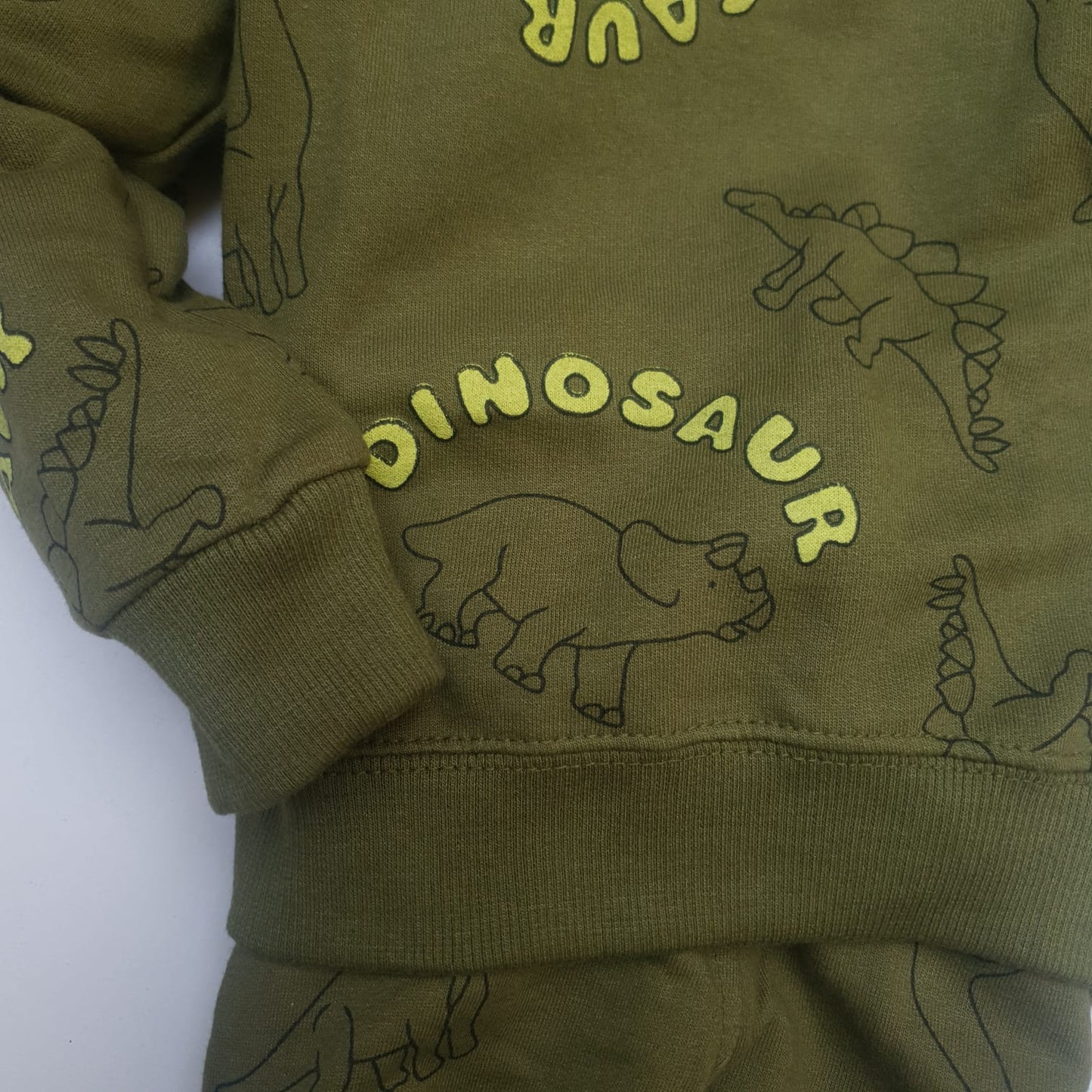 Green Dinosaur print tracksuit Unisex