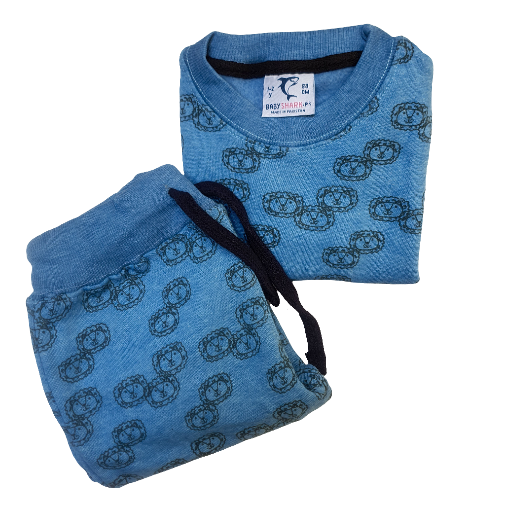 Lion print blue tracksuit for kids | Unisex