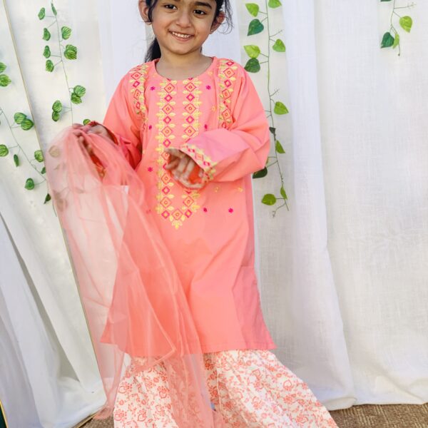 Orange cotton gharara Embroided #pc dress