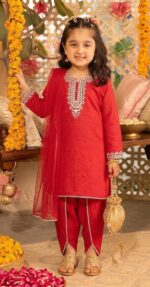 RED Embroided 3pc dress with full detailing on fabric