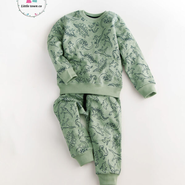 Dino Print Kids Terry Tracksuit
